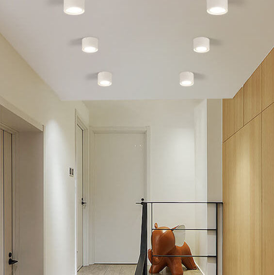 Energy-Efficient Integrated LED Flush Mount Ceiling Light