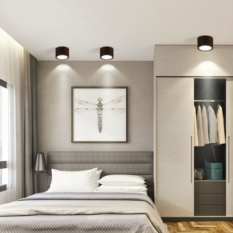 Energy-Efficient Integrated LED Flush Mount Ceiling Light