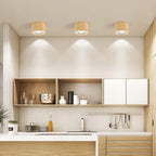 Energy-Efficient Integrated LED Flush Mount Ceiling Light
