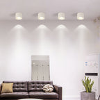 Energy-Efficient Integrated LED Flush Mount Ceiling Light