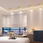 Energy-Efficient Integrated LED Flush Mount Ceiling Light