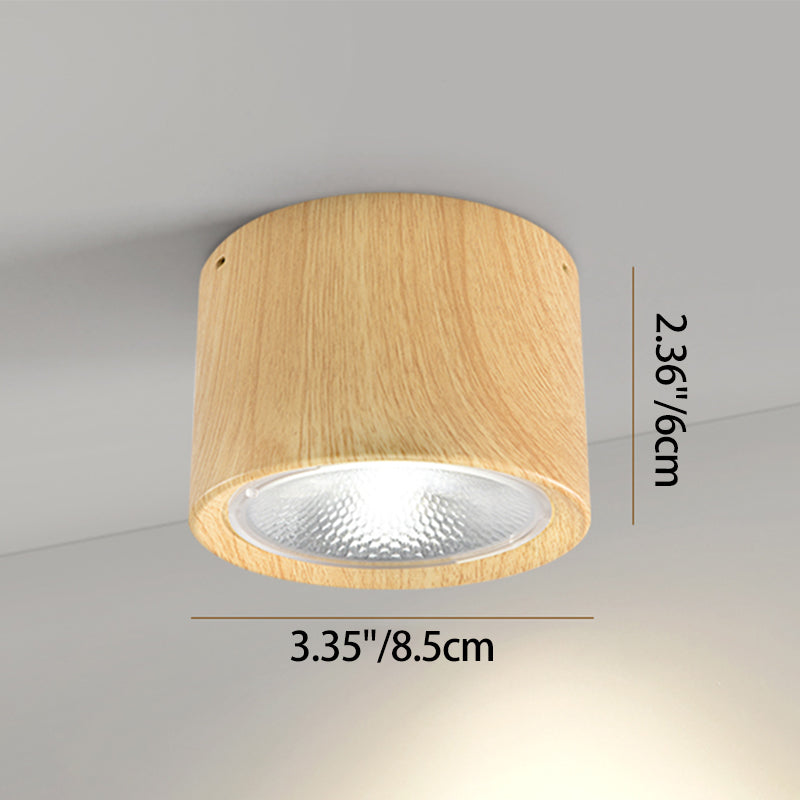 Energy-Efficient Integrated LED Flush Mount Ceiling Light