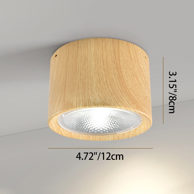 Energy-Efficient Integrated LED Flush Mount Ceiling Light