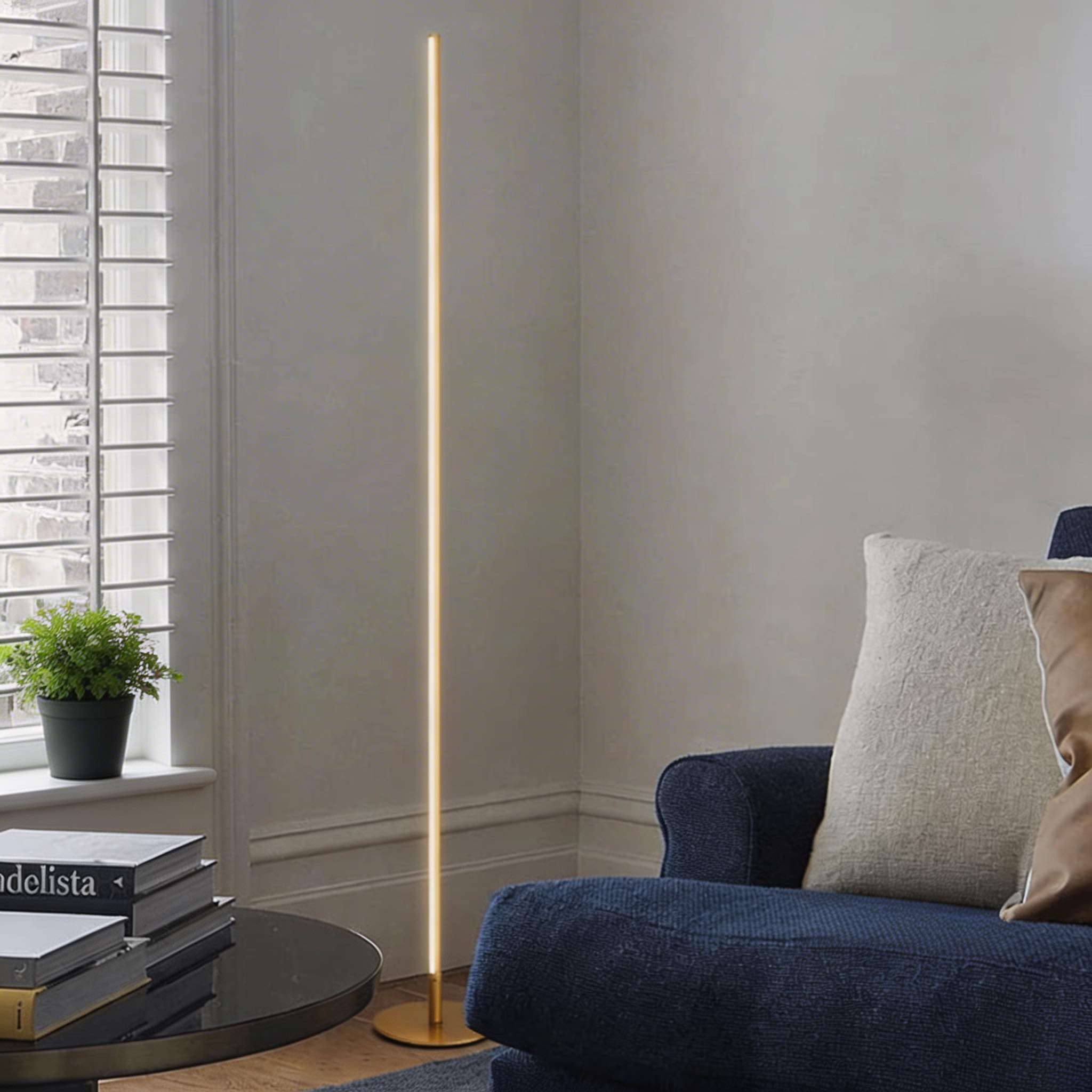 Energy-Efficient LED & Adjustable Height Floor Lamp