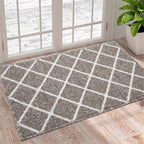 Entrance Mat Dirt-Absorbing Non-Slip Rubber Backing