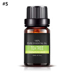 Essential Oil 10ml Natural Plant-Derived Controlled Dropper