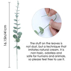 Eucalyptus Branches Lifelike Hand-Finished Set of 12
