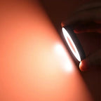 Fill Light Magnetic Clip-On Warm & Cool Rechargeable