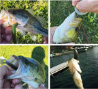 Fishing Lure Set Flexible Lifelike Set of 5