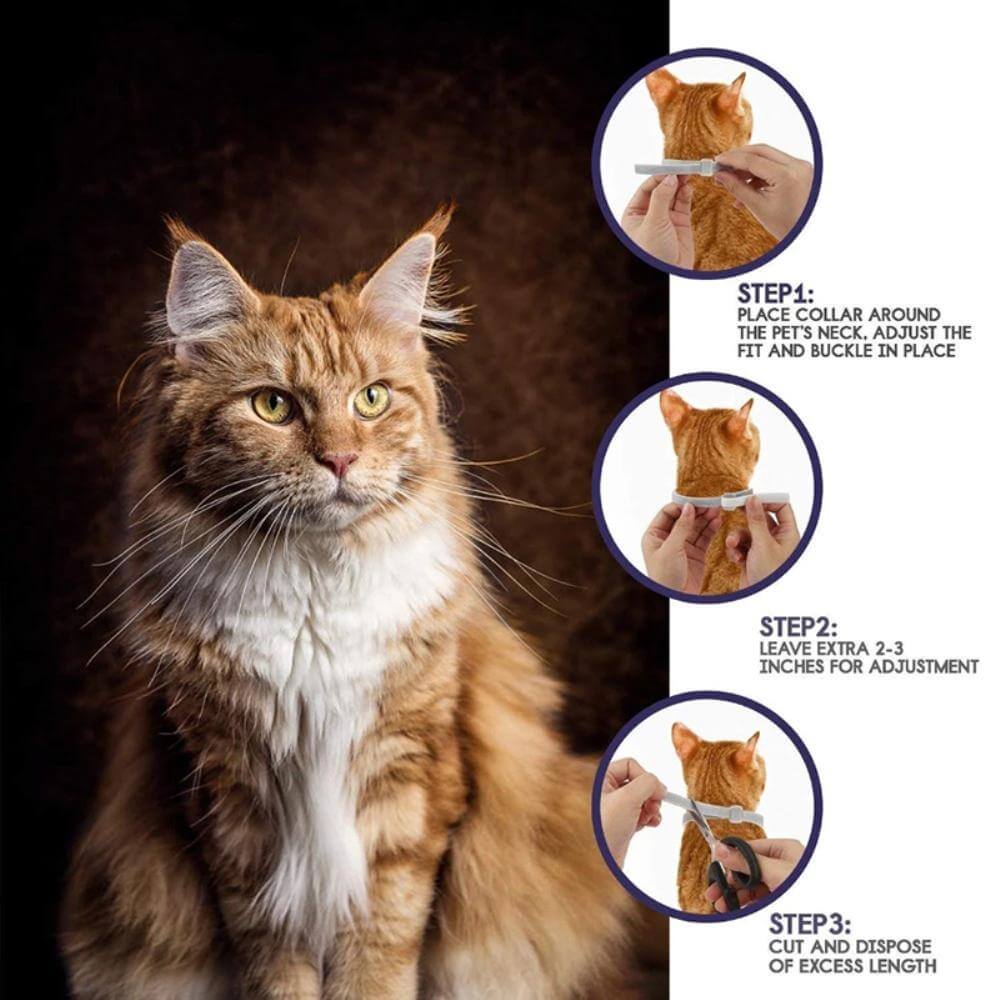 Flea & Tick Collar Natural Waterproof Up To 8 Months