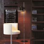 Floor Lamp Adjustable Gooseneck Head Metal Body Foot Switch