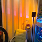 Floor Lamp Soft Halo Projection 3 Color Temperatures Anodized Aluminum