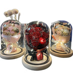 Floral Display Glass Dome LED Wooden Base