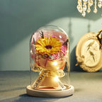 Floral Display Glass Dome LED Wooden Base