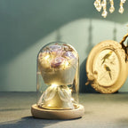 Floral Display Glass Dome LED Wooden Base