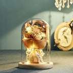 Floral Display Glass Dome LED Wooden Base