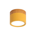 Flush Mount Ceiling Light Compact Cylindrical Metal Energy-Efficient LED