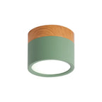 Flush Mount Ceiling Light Compact Cylindrical Metal Energy-Efficient LED