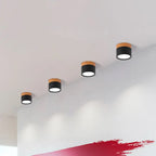 Flush Mount Ceiling Light Compact Cylindrical Metal Energy-Efficient LED