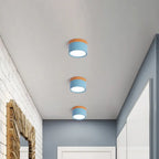 Flush Mount Ceiling Light Compact Cylindrical Metal Energy-Efficient LED