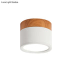 Flush Mount Ceiling Light Compact Cylindrical Metal Energy-Efficient LED