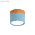 Flush Mount Ceiling Light Compact Cylindrical Metal Energy-Efficient LED