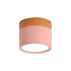 Flush Mount Ceiling Light Compact Cylindrical Metal Energy-Efficient LED