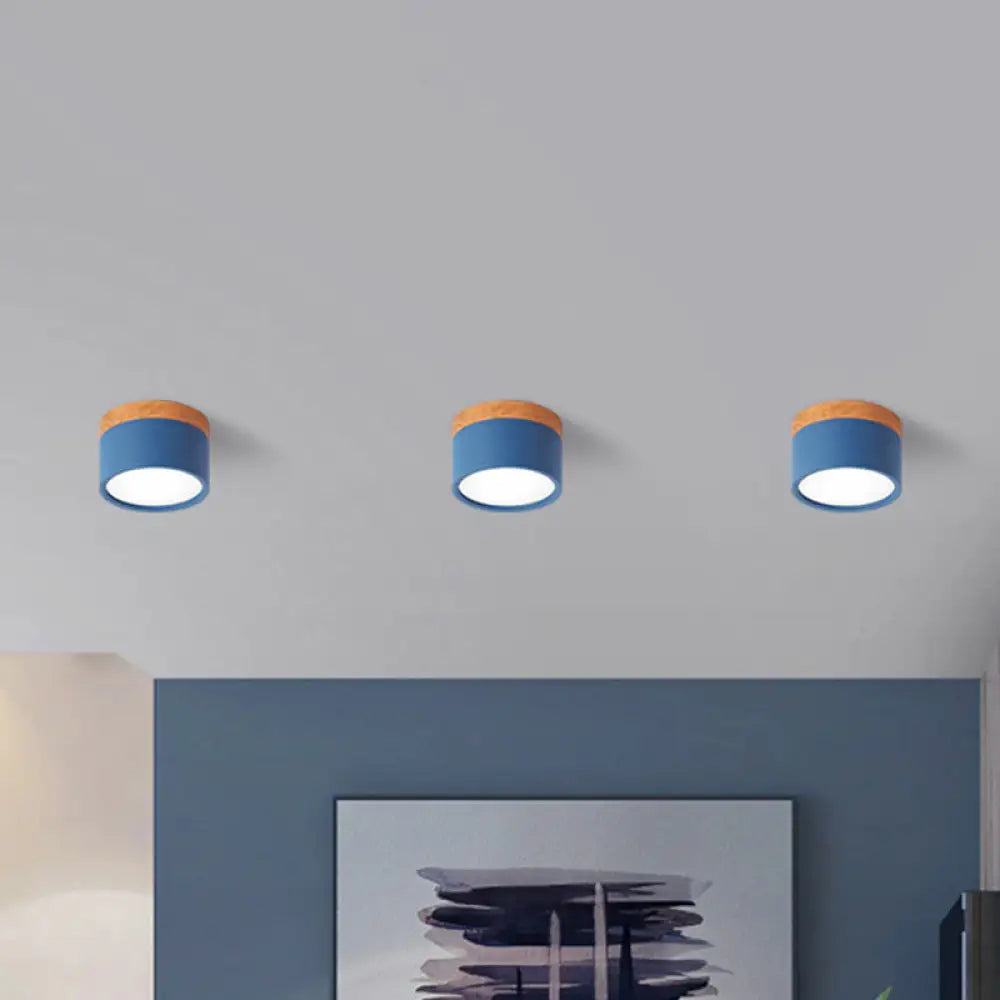 Flush Mount Ceiling Light Compact Cylindrical Metal Energy-Efficient LED
