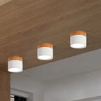 Flush Mount Ceiling Light Compact Cylindrical Metal Energy-Efficient LED