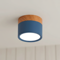 Flush Mount Ceiling Light Energy-Efficient LED Wood-Grain Accent