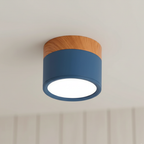 Flush Mount Ceiling Light Energy-Efficient LED Wood-Grain Accent