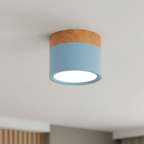 Flush Mount Ceiling Light Energy-Efficient LED Wood-Grain Accent