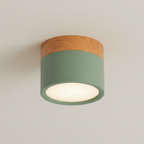 Flush Mount Ceiling Light Energy-Efficient LED Wood-Grain Accent