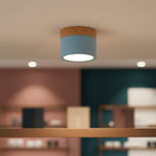 Flush Mount Ceiling Light Energy-Efficient LED Wood-Grain Accent