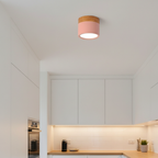 Flush Mount Ceiling Light Energy-Efficient LED Wood-Grain Accent