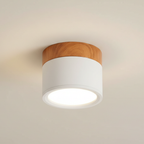Flush Mount Ceiling Light Energy-Efficient LED Wood-Grain Accent