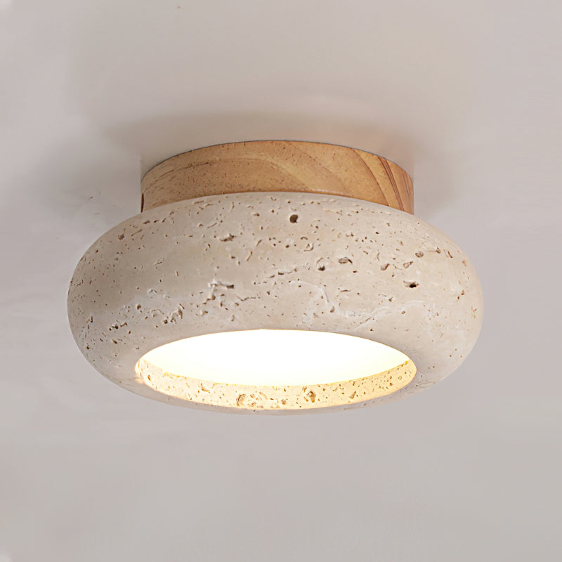 Flush Mount Ceiling Light Energy Efficient Metal & Glass