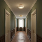 Flush Mount Ceiling Light Energy Efficient Metal & Glass