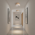 Flush Mount Ceiling Light Energy Efficient Metal & Glass