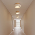 Flush Mount Ceiling Light Energy Efficient Metal & Glass