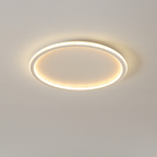 Flush Mount Ceiling Light Integrated LED Aluminum Frame