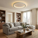 Flush Mount Ceiling Light Integrated LED Aluminum Frame