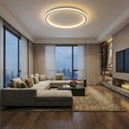 Flush Mount Ceiling Light Integrated LED Aluminum Frame