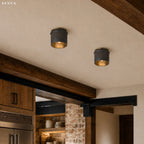 Flush Mount Ceiling Light Matte Black Brass Interior