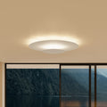 Flush Mount Ceiling Light Slim LED Round Panel