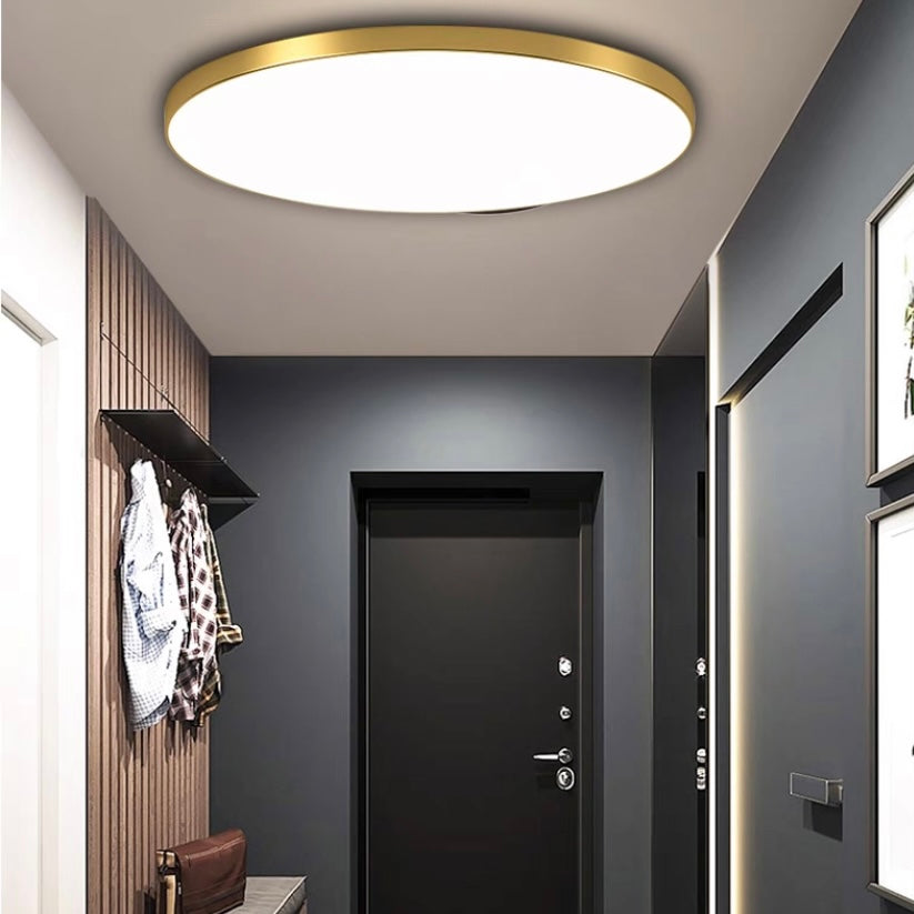 Flush Mount Light Ultra-Slim 2.4-Inch Glare-Free Acrylic Diffuser
