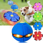 Flying Ball Dual-Shape Disc-to-Ball Non-Toxic
