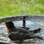 Fountain Pump Solar-Powered 4 Interchangeable Nozzles