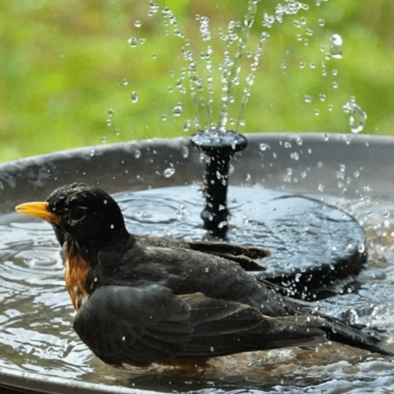 Fountain Pump Solar-Powered 4 Interchangeable Nozzles
