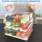 Fridge Organizer Stackable Clear 10-Pack BPA-Free